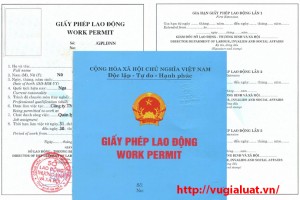 Tư vấn thủ tục cấp giấy phép lao động cho người nước ngoài tại Hà Nội